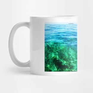 honduras reef trap by camera in crystal water Mug